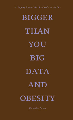 Bigger than You: Big Data and Obesity - front cover